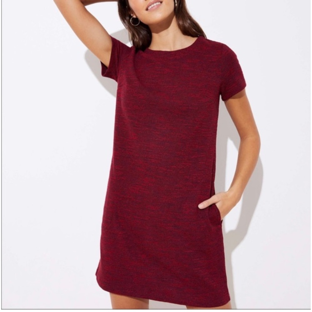 LOFT Women’s Size 2 Dress Red Knit Short Sleeve Back Zip Tie and Pockets